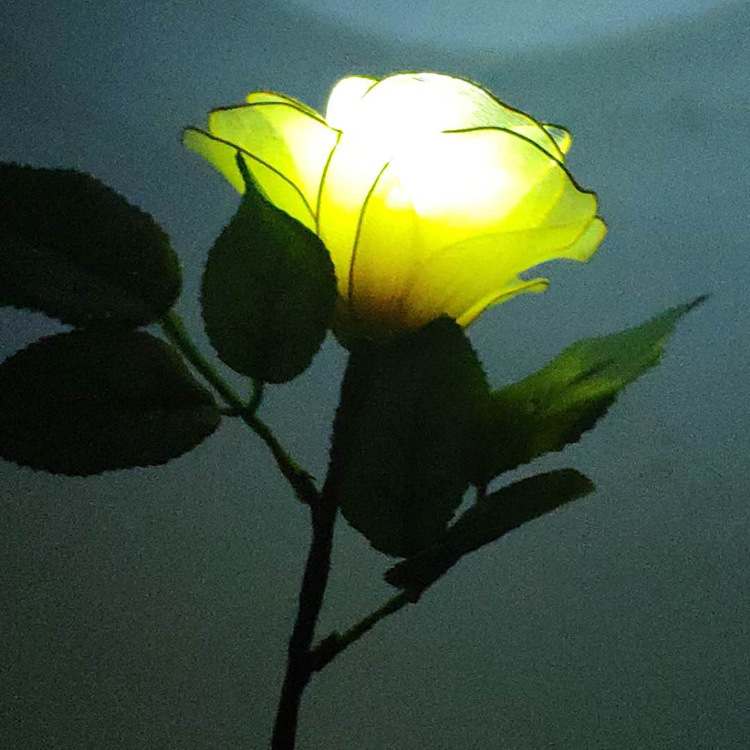 ♪ Valentine's Day ♪ ♪ LED LED ♪ Shining rose bouquet ♪