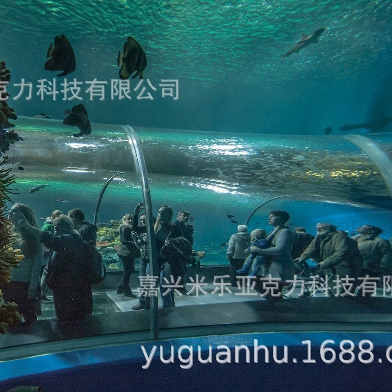 Sea Hall은 Sea Hall 's fish tank를 공급하도록 설계되었습니다.