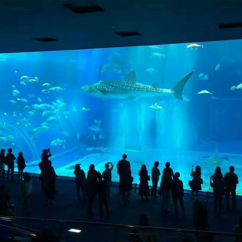 Tùy chỉnh thiết kế của Sea Hall.
