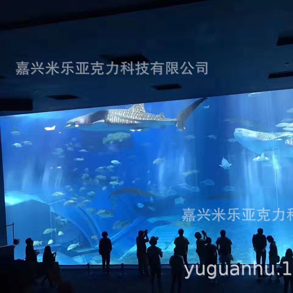 Xây dựng và lắp đặt bể cá Akli tại dự án Sea Hall
