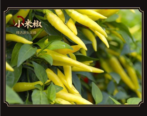 Nhà sản xuất đã tùy chỉnh một gói nước sốt vịt đen với nước sốt thương mại.