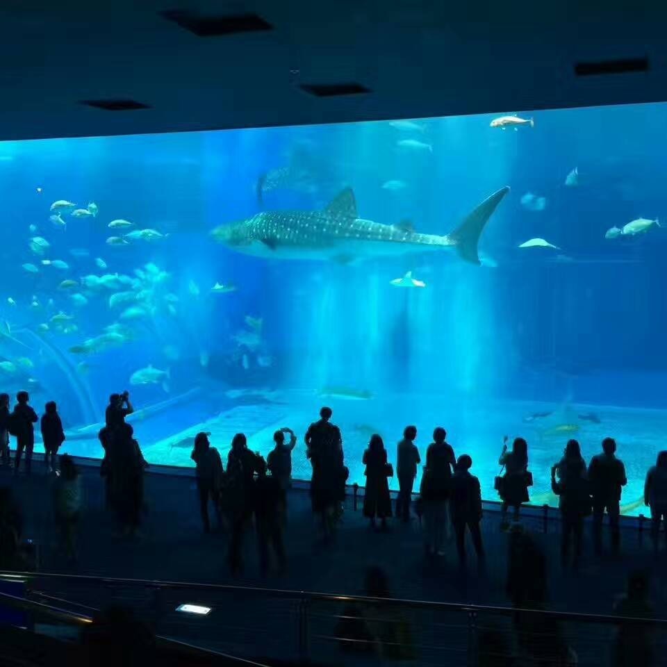 Tôi sẽ tiếp quản công trình xây dựng của Sea Hall.