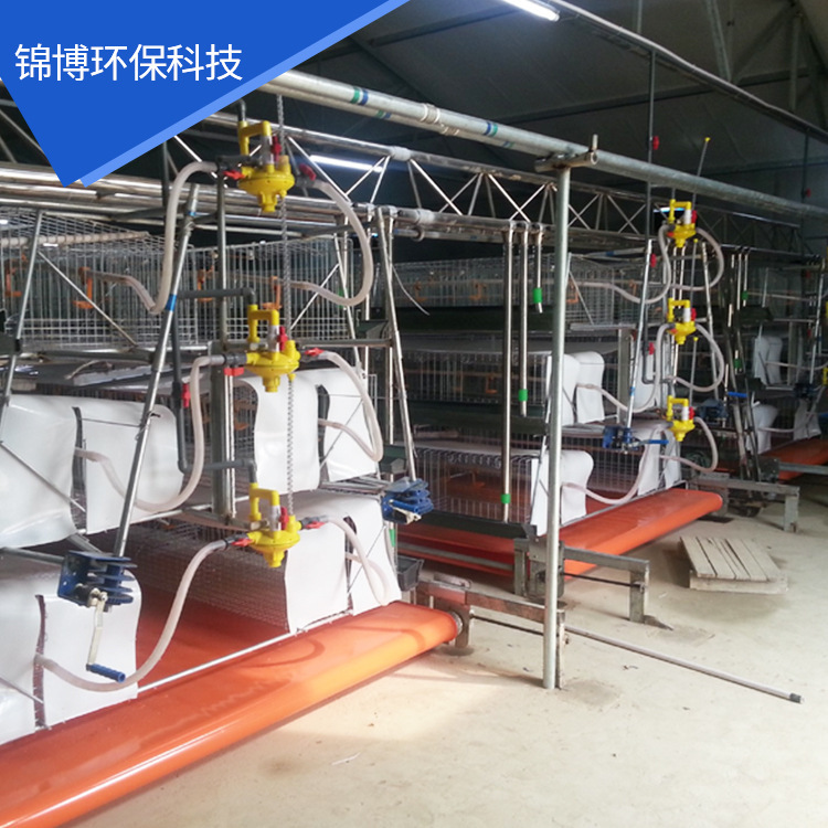 Plant chicken dung conveyor belt, ploughing water lines, septic dung transfer belt