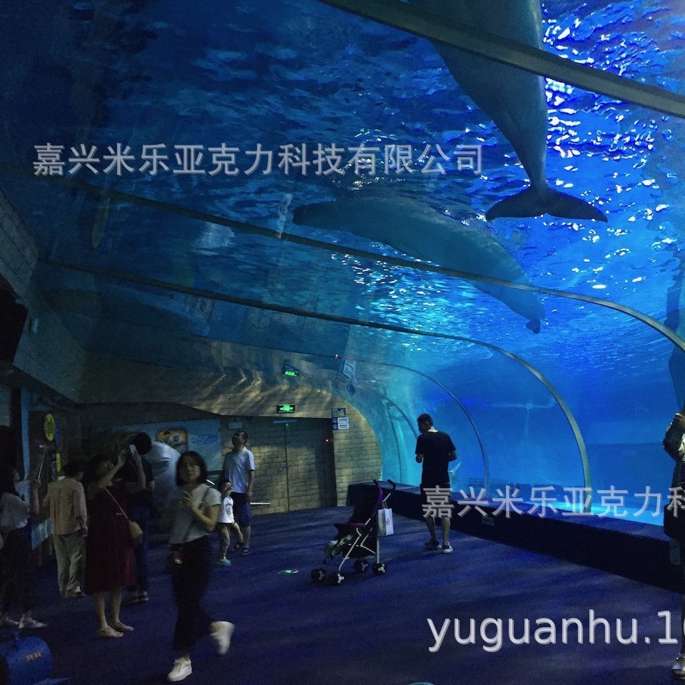Xây dựng và lắp đặt bể cá Akli tại dự án Sea Hall