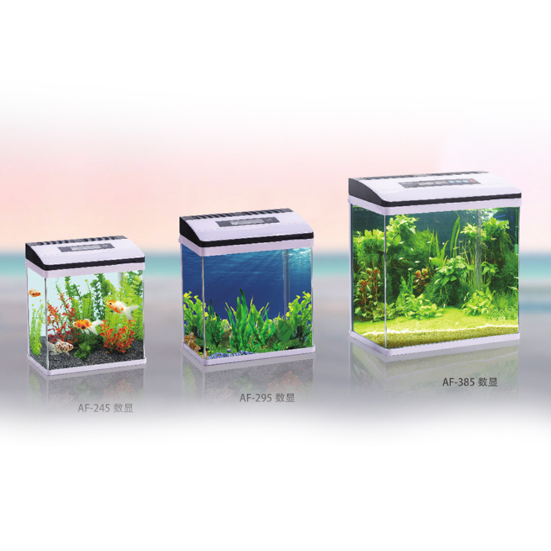 Chiếc xe tăng chiến đấu nhỏ trong phòng khách của bể cá.