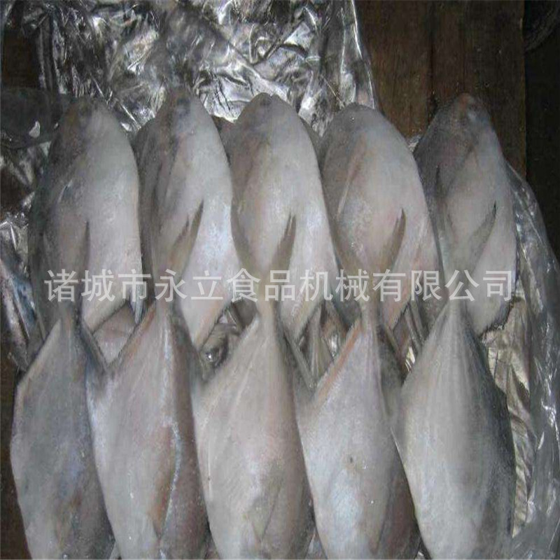 Đường hầm làm đông lạnh máy móc thực phẩm, trái cây và rau củ đông lạnh, nén thấp nhiệt độ dòng nước đông lạnh