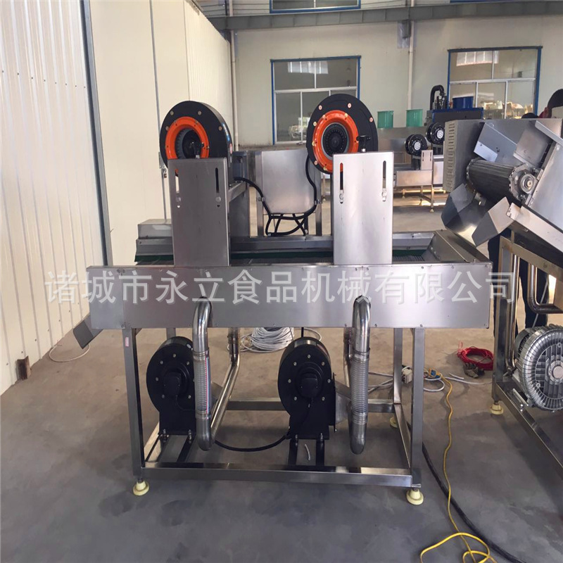 Loại cây đỏ quy mô nhỏ rửa sạch dòng nước khô, dòng chảy khô dưới dạng nước xoay.