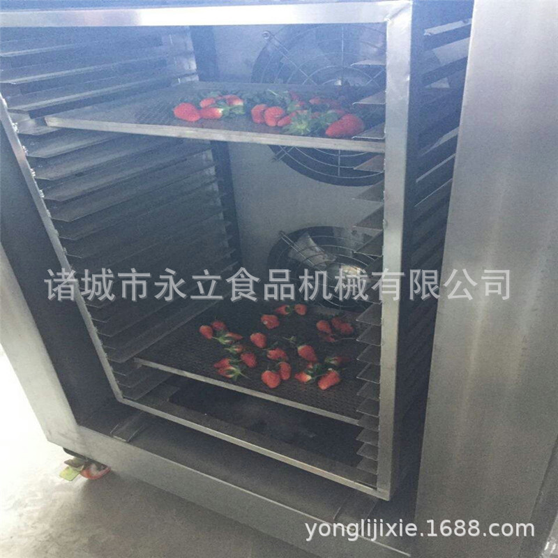 Những cánh hoa Lily đông lạnh nhanh, máy nén làm lạnh các loại thức ăn sản xuất nhanh.