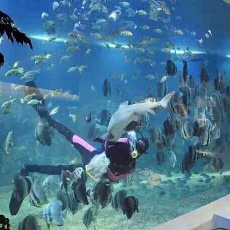 Tôi sẽ tiếp quản công trình xây dựng của Sea Hall.