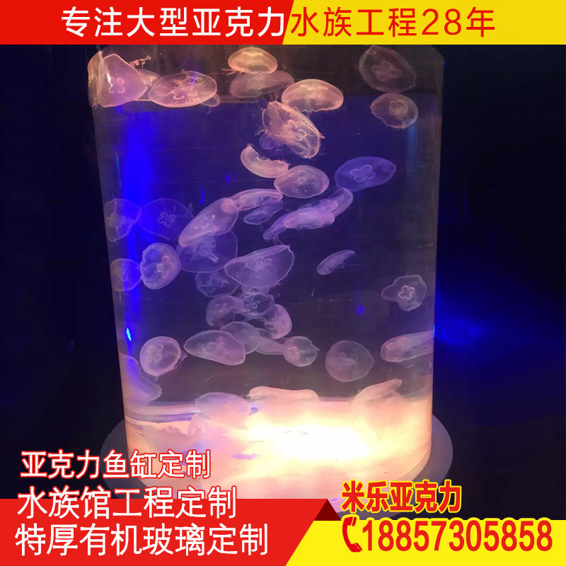 Nhà máy bán ống trụ Acik, bể cá lớn, bình cá biển.