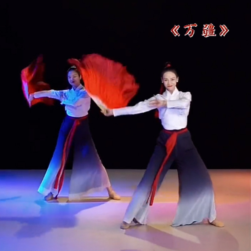 Ha Fai and Manjia dance costumes in the original plaza, classic Han Chinese costumes, performing modern stage costumes