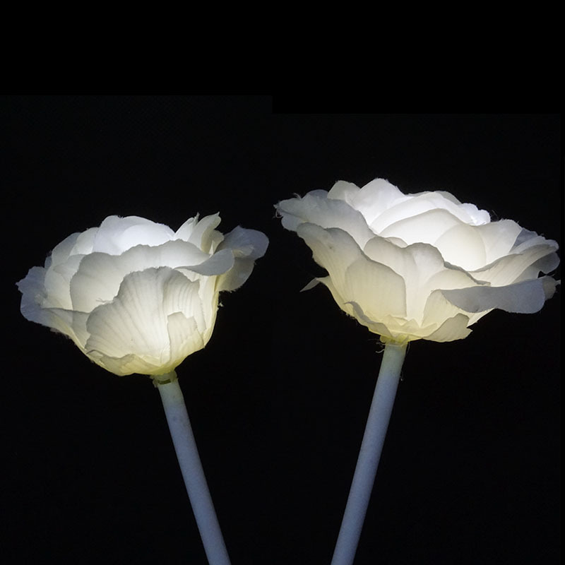 Hand-held roses, LEDs, LEDs, emulation of roses.