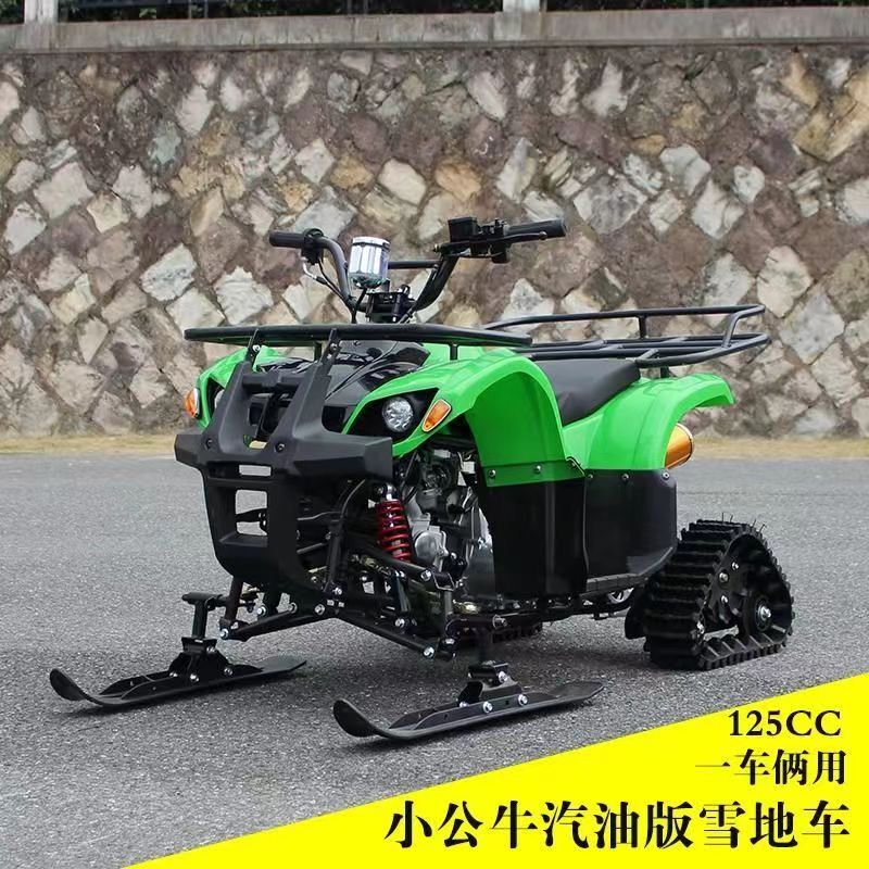 Small Bulls snow belt beach vehicle 125 CC-driven Landscape Car Rover