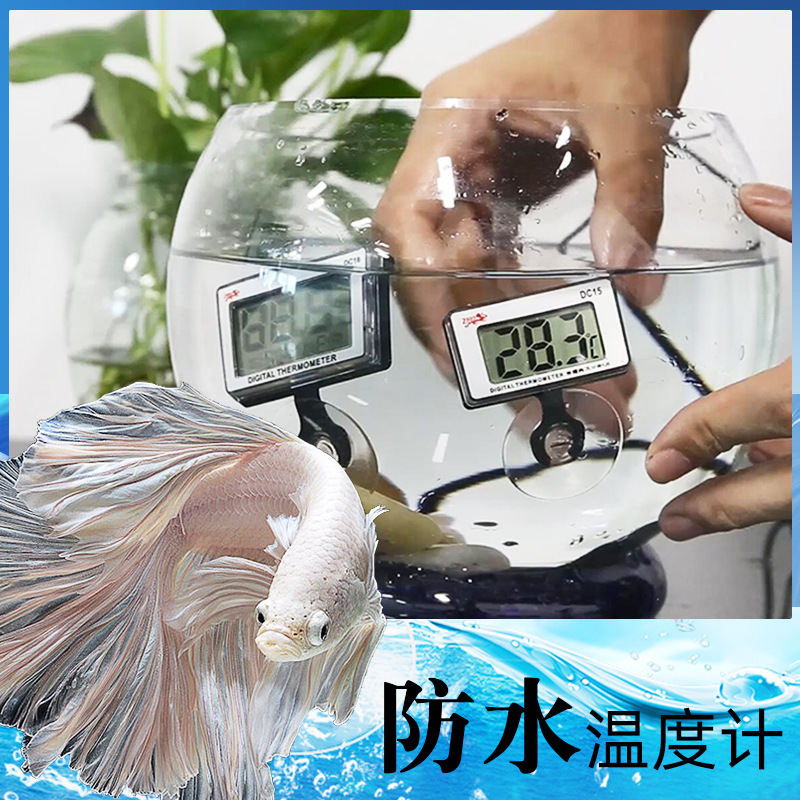 鱼缸数显电子温度计高精度测水温计水族箱温度表器显示屏养殖业用