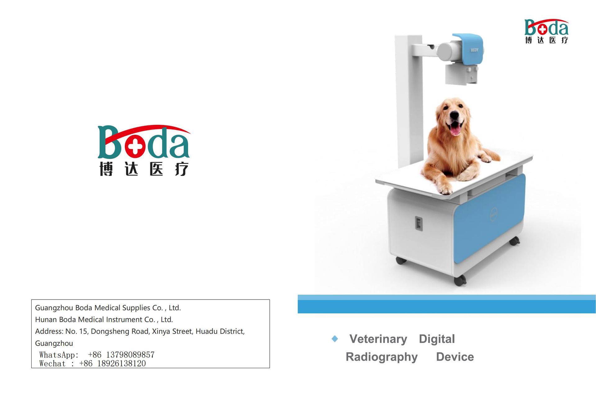 digitized X-ray DR camera system for pet X-ray animals