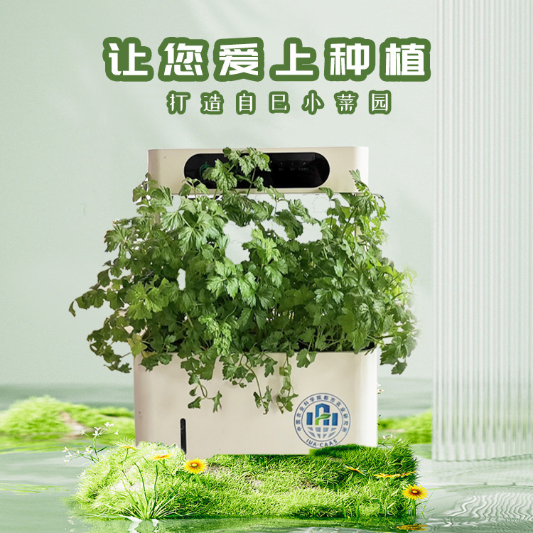 Trường dạy nghề trong nhà, Condo.