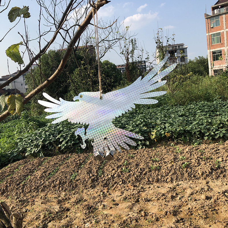 外贸花园反光悬挂驱鸟猫头鹰老鹰吓鸟赶鸟装饰反光老鹰跨境定制