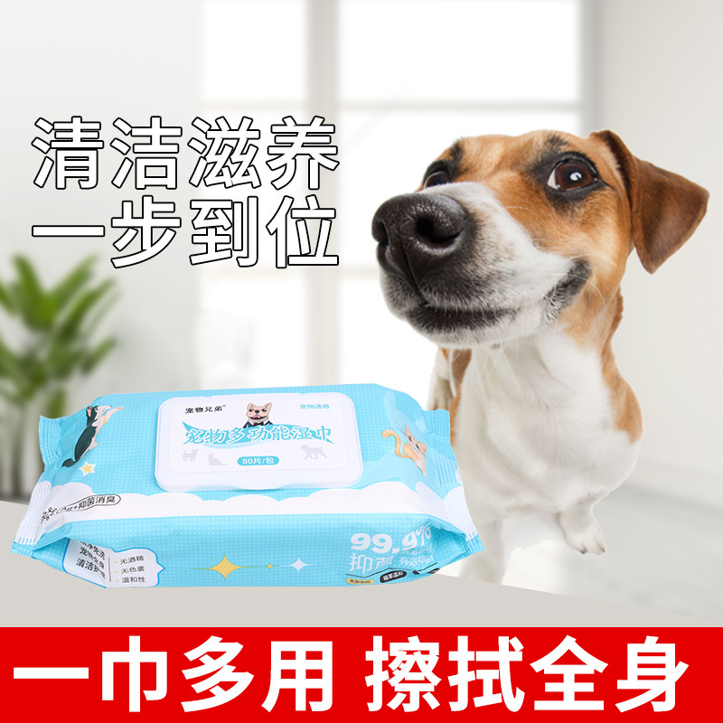 애완 동물 젖은 수건, 고양이, 개, 젖은 수건, 수건, 수건.