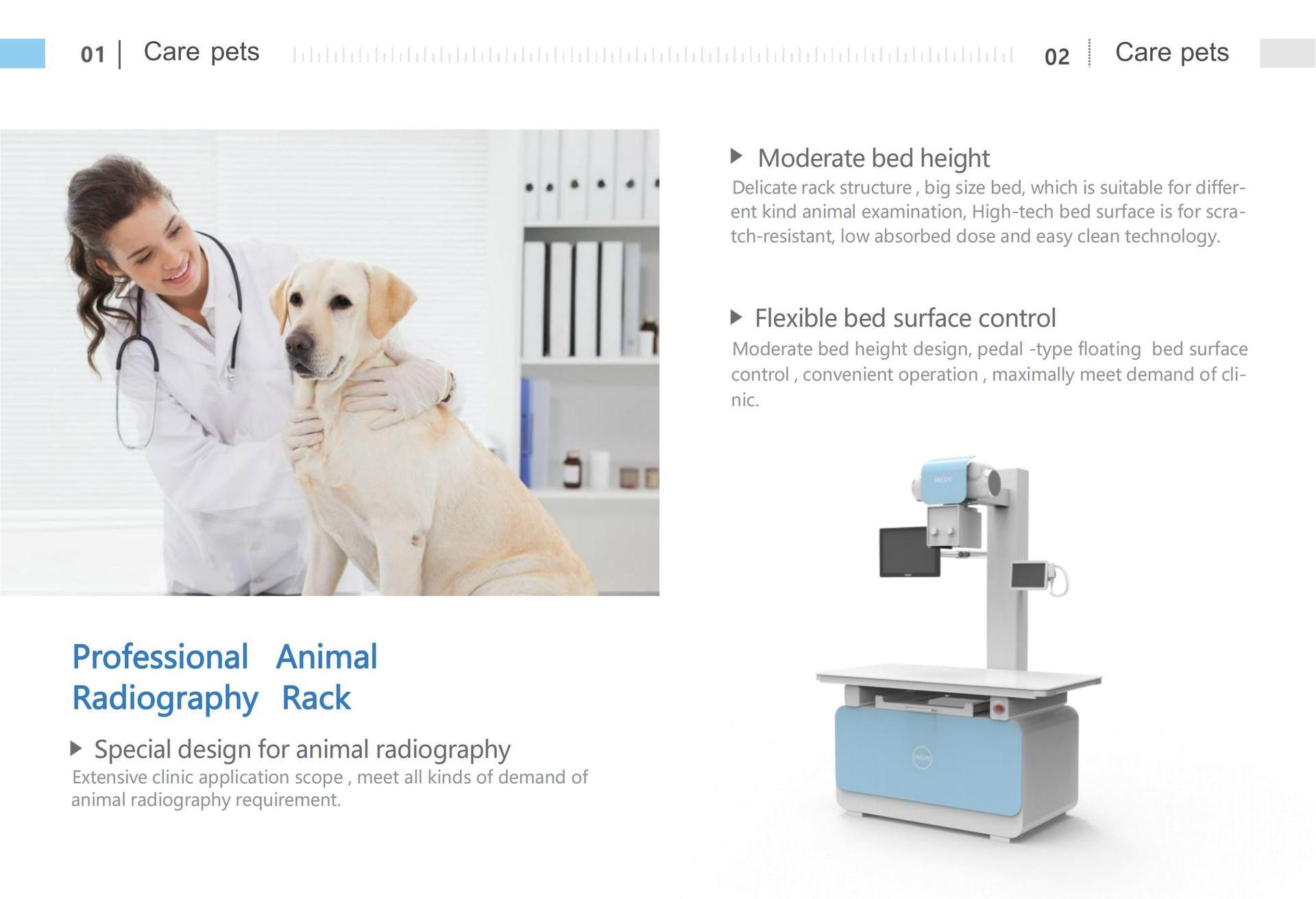 digitized X-ray DR camera system for pet X-ray animals