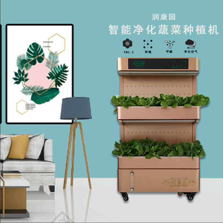 Khu vực công cộng của văn phòng ban công với một loại thực vật sạch sẽ mà không có các thiết bị trồng trái đất