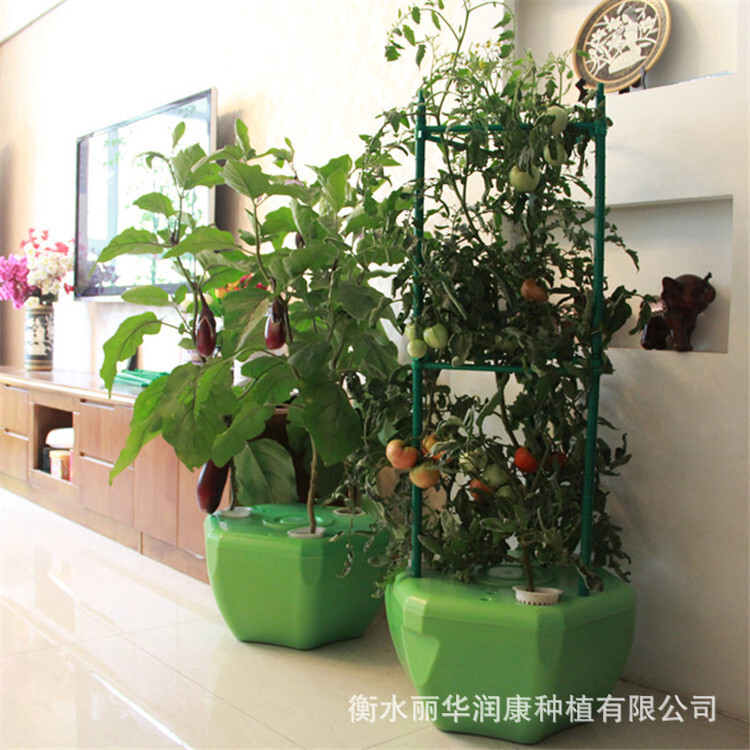 Không có thiết bị trồng trái đất, thủy điện, ban công, thủy sinh, 4 lỗ trong bồn.