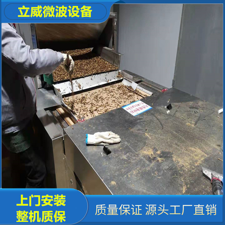 活體黑水虻乾燥機 黑水虻乾燥設備 乾燥均勻用立威微波設備