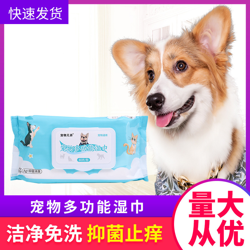 애완 동물 젖은 수건, 고양이, 개, 젖은 수건, 수건, 수건.