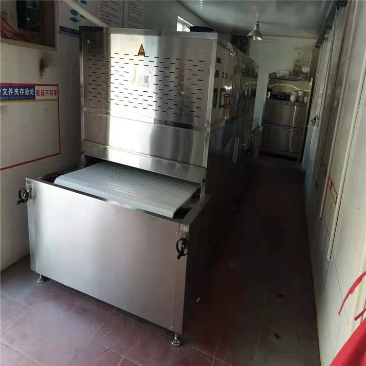 Using an extensive microwave heating tunnel furnace, the student feeding microwave heating channel.