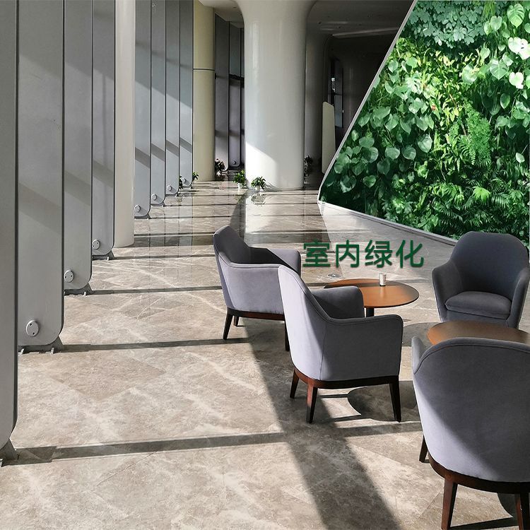 Những bức tường, phòng tập thể dục, dàn âm thanh, chậu hoa nhựa, chậu hoa, tường ban công nhựa.