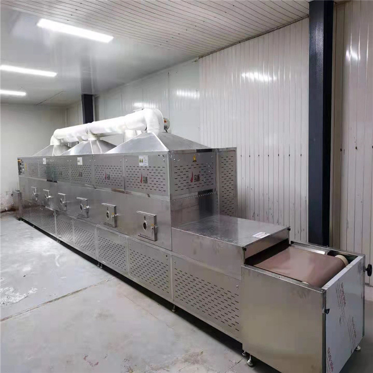 Using an extensive microwave heating tunnel furnace, the student feeding microwave heating channel.