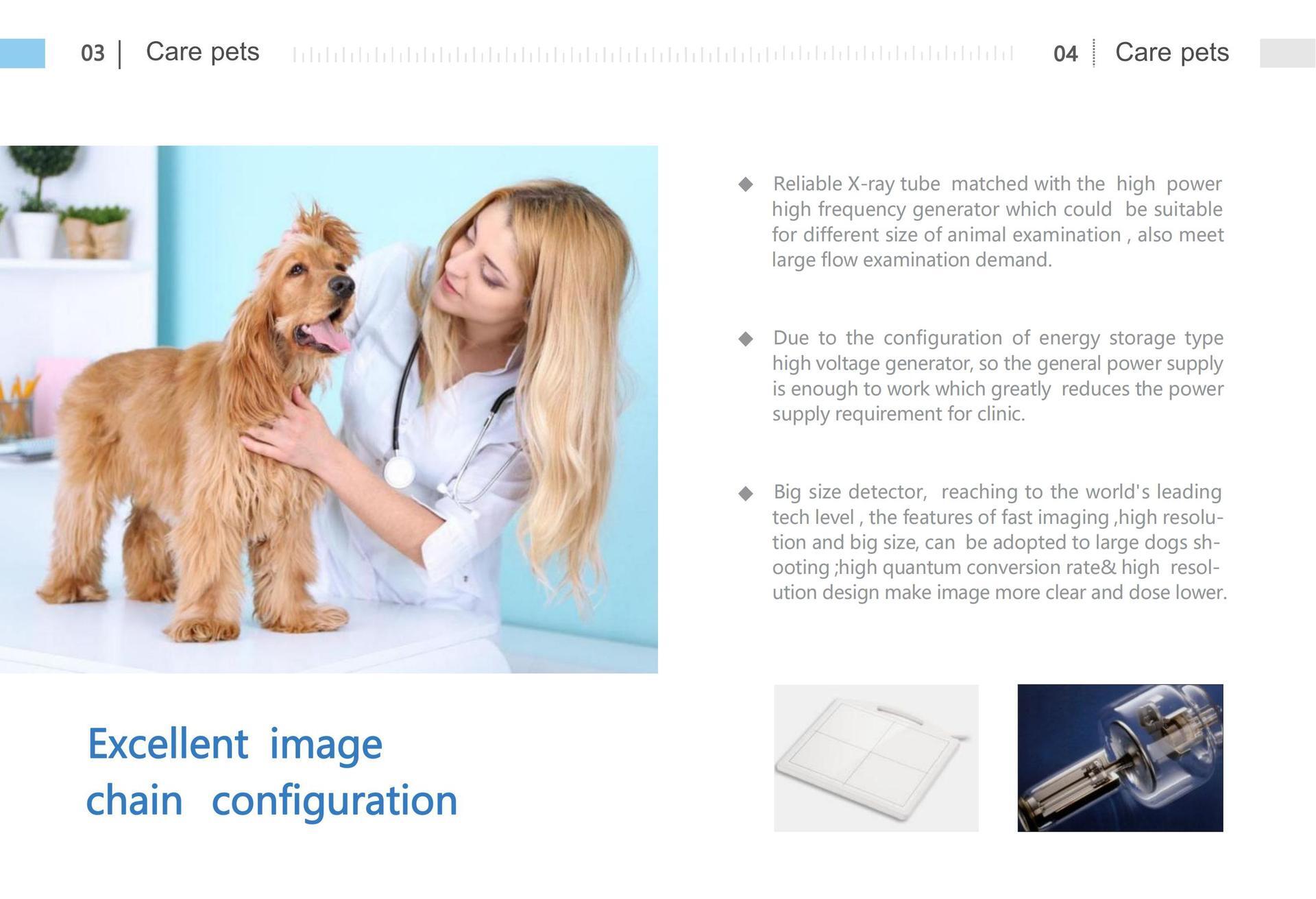 digitized X-ray DR camera system for pet X-ray animals