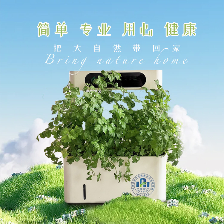 Trường dạy nghề trong nhà, Condo.