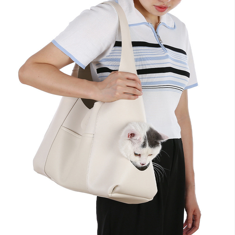 The pet bag, the cat, the cat, Teddy.