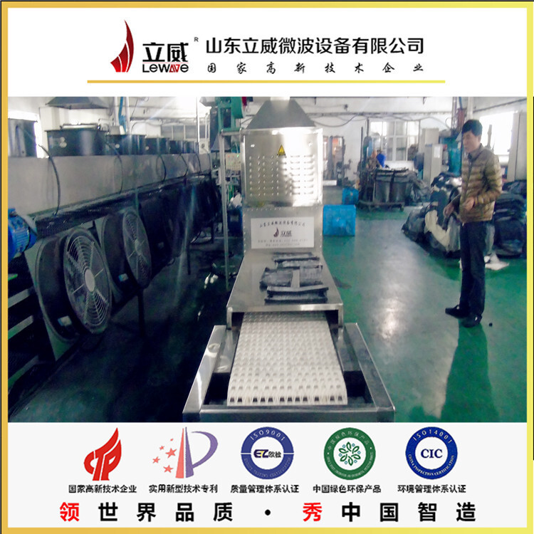 定製橡膠製品微波烘乾設備 橡膠快速加熱設備廠家