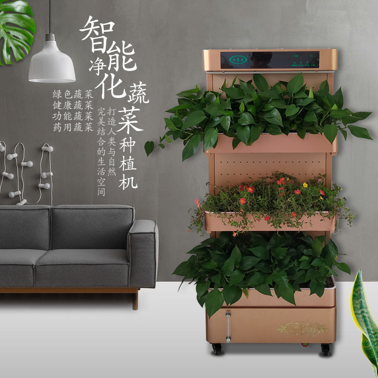 Toàn bộ hộp bán hoa ở nhà máy chế biến rau thủy tinh, một cây trồng rau trái đất tại khu vườn làm bằng bôi trơn