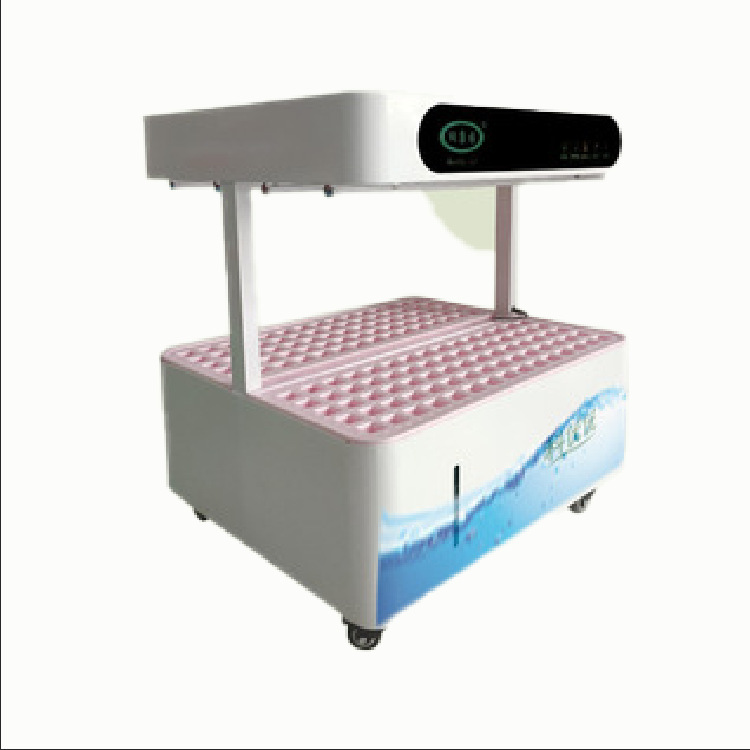 Một chương trình ở trường dành cho những người trồng cây thông minh trong lĩnh vực khoa học, giáo dục, giáo dục, nhà trẻ.