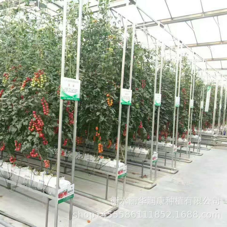 Không có dụng cụ trồng trái đất trong nhà kính.