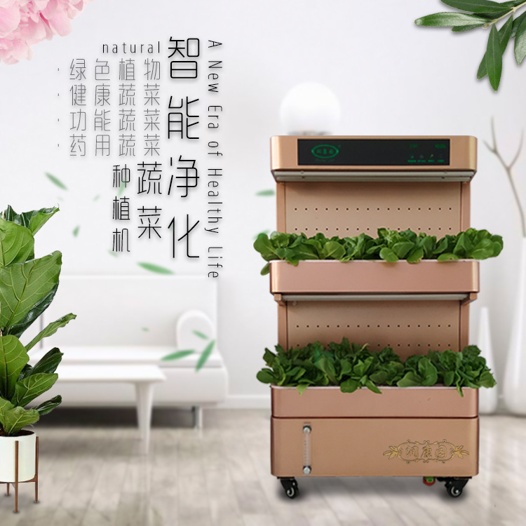 Khu vực công cộng của văn phòng ban công với một loại thực vật sạch sẽ mà không có các thiết bị trồng trái đất