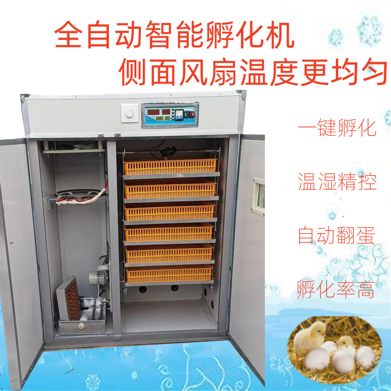 It's a fully customized dry and wet hatcher double-room incubator.