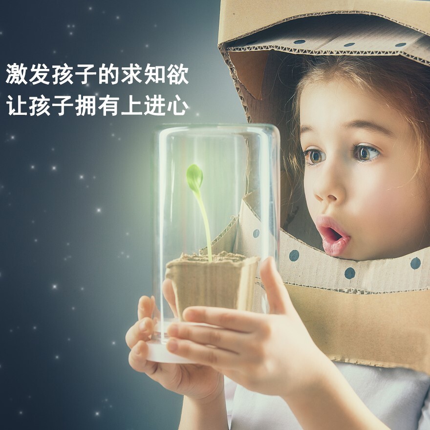 Một chương trình ở trường dành cho những người trồng cây thông minh trong lĩnh vực khoa học, giáo dục, giáo dục, nhà trẻ.