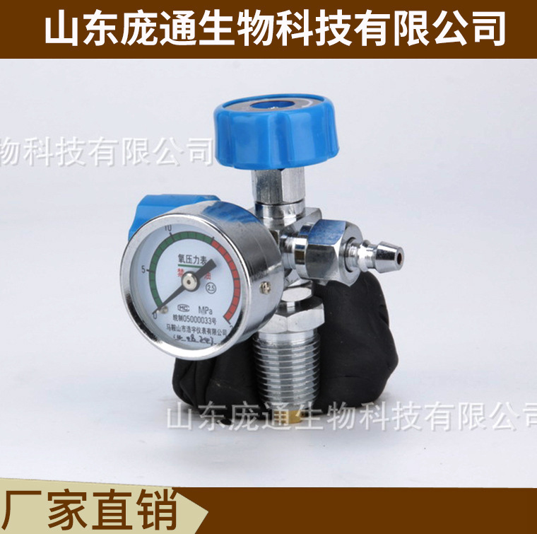 廠家直供 浮標式器 PT-R型醫用氧氣吸入器 配套溼化杯