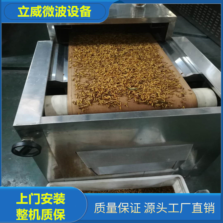 活體黑水虻乾燥機 黑水虻乾燥設備 乾燥均勻用立威微波設備