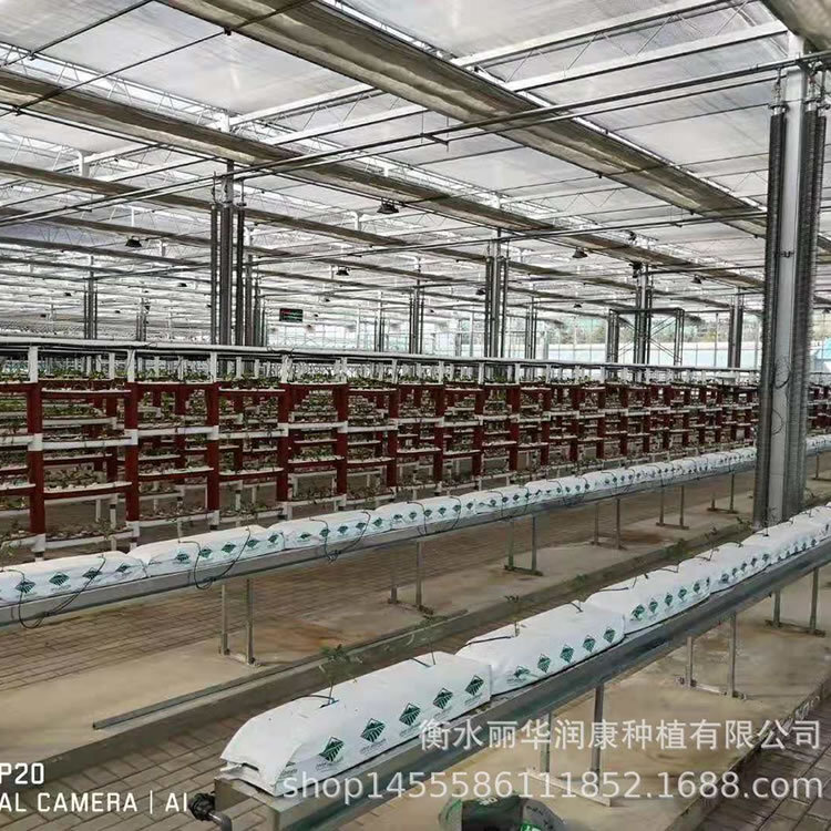 Không có dụng cụ trồng trái đất trong nhà kính.