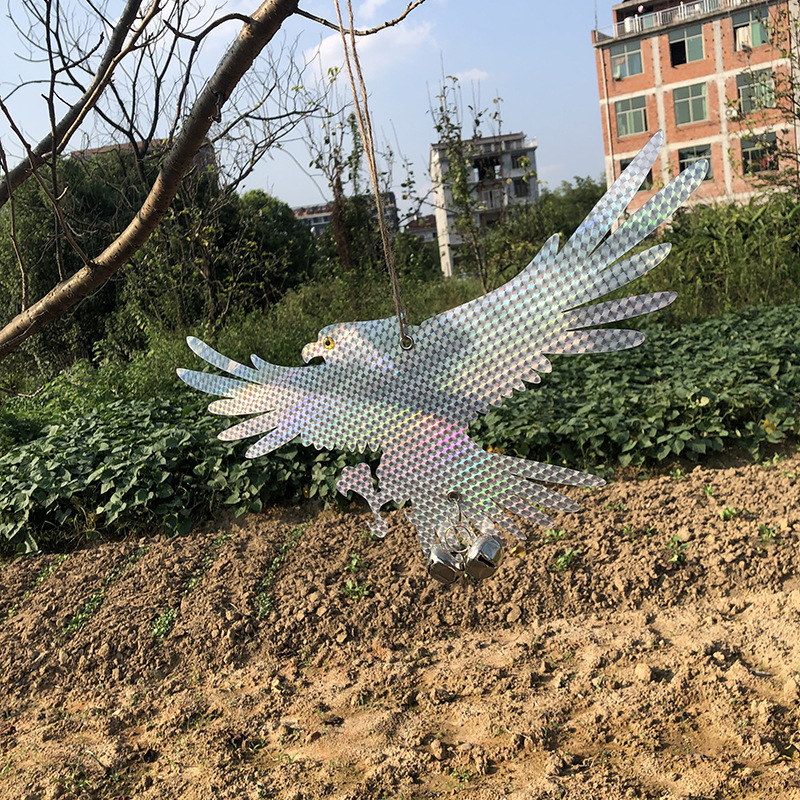 外贸花园反光悬挂驱鸟猫头鹰老鹰吓鸟赶鸟装饰反光老鹰跨境定制