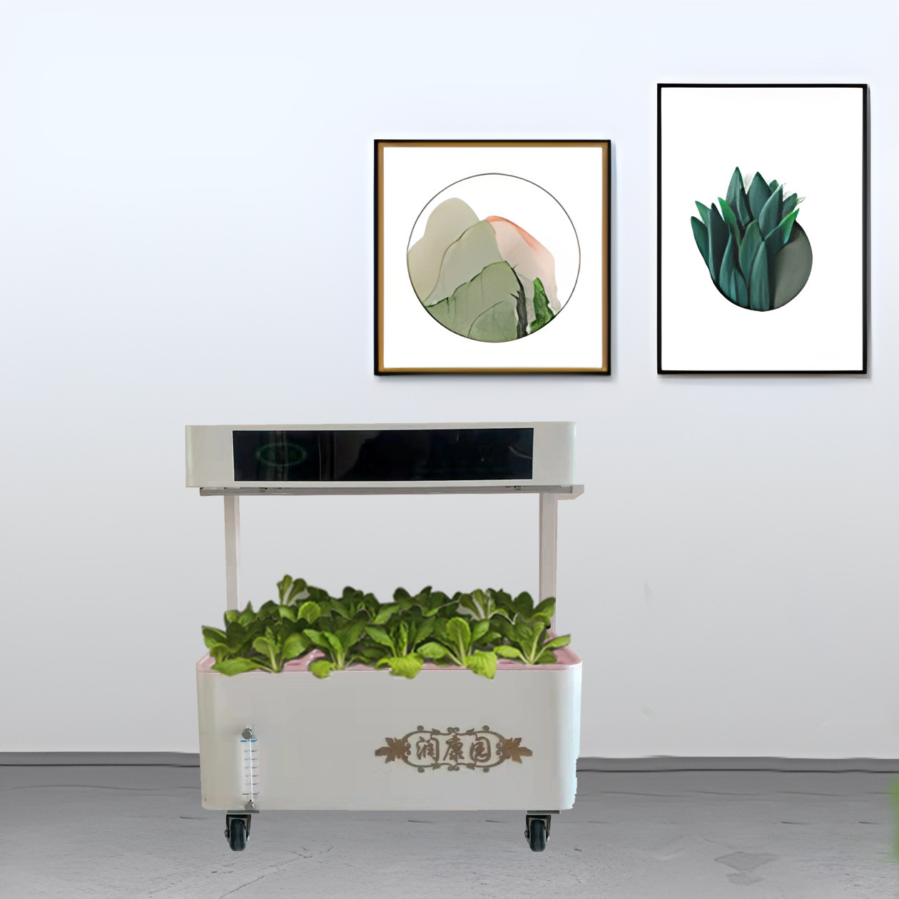 Một chương trình ở trường dành cho những người trồng cây thông minh trong lĩnh vực khoa học, giáo dục, giáo dục, nhà trẻ.
