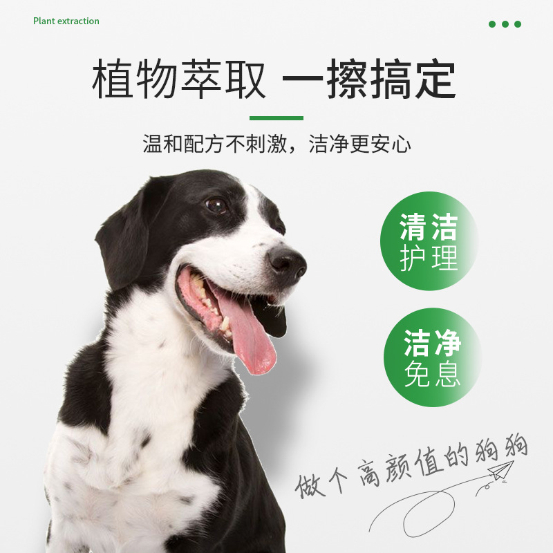 애완 동물 젖은 수건, 고양이, 개, 젖은 수건, 수건, 수건.