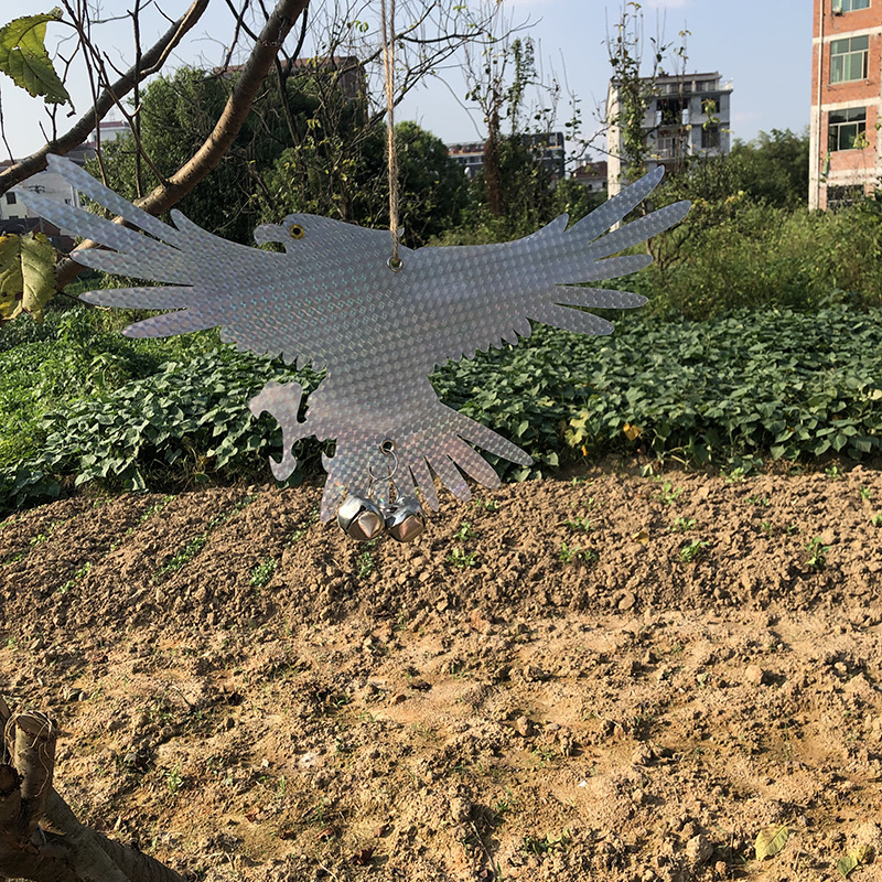 外贸花园反光悬挂驱鸟猫头鹰老鹰吓鸟赶鸟装饰反光老鹰跨境定制