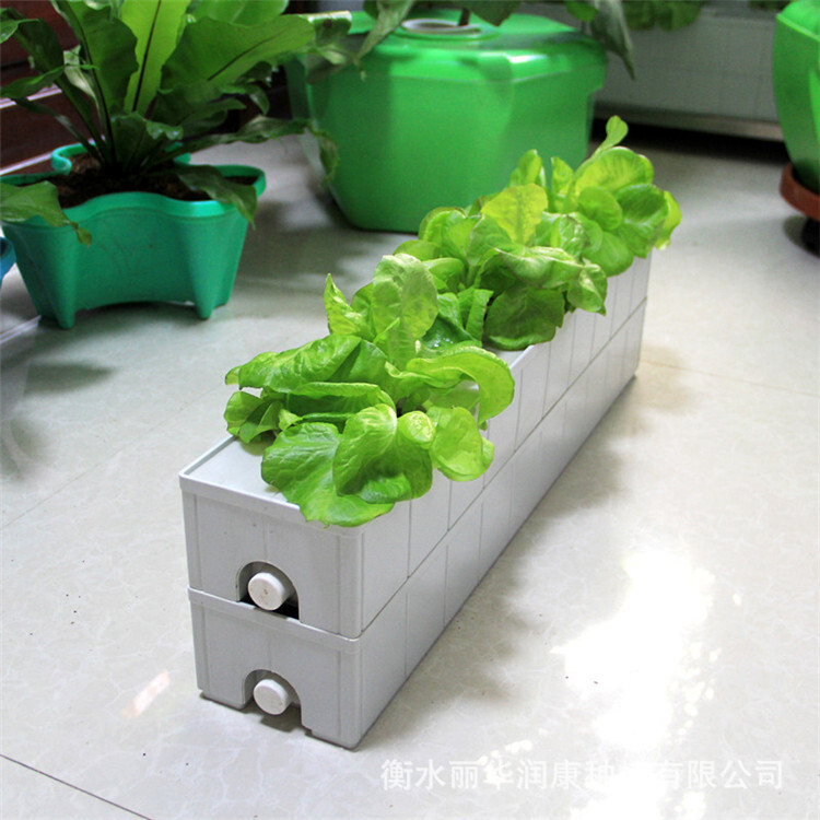 Phục hồi các lồng ấp thủy điện cho việc trồng trọt không đất