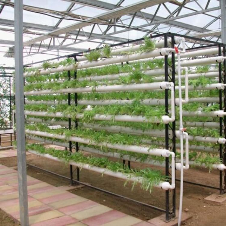 Nhà kính không có dụng cụ trồng trái đất.