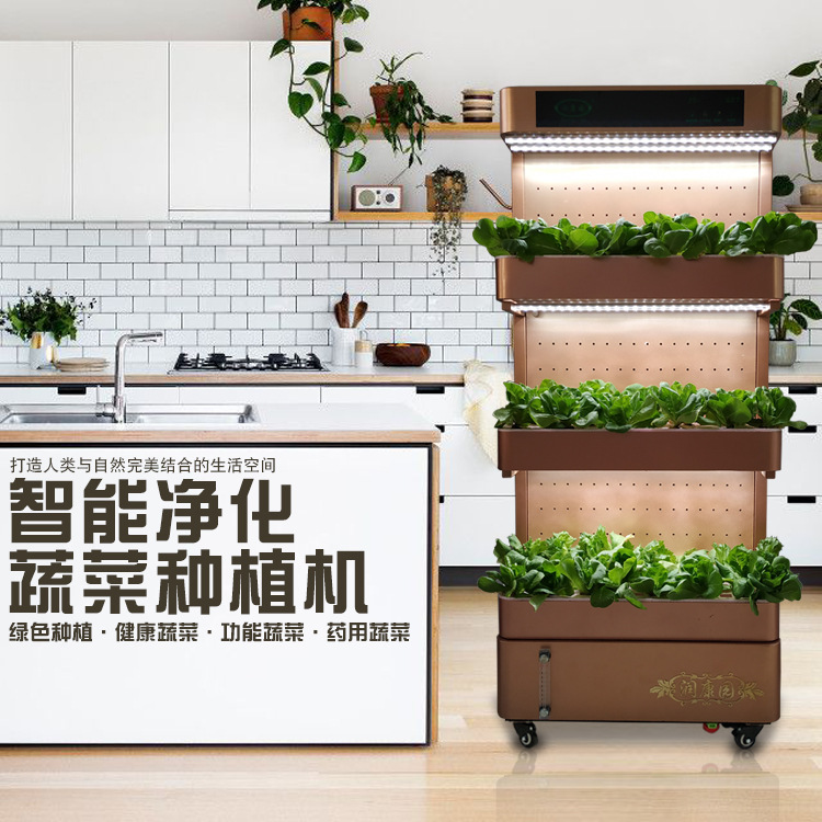 Toàn bộ hộp bán hoa ở nhà máy chế biến rau thủy tinh, một cây trồng rau trái đất tại khu vườn làm bằng bôi trơn